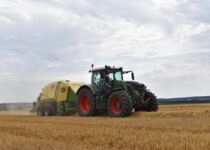 Sommer Juli - August